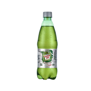 GINGER ALE CANADA DRY 500CC