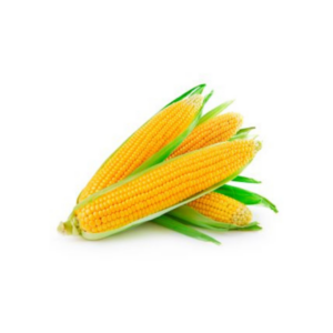 CHOCLO AMERICANO BANDEJA