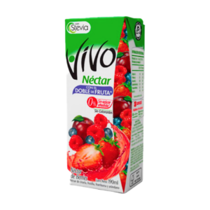 JUGO VIVO BERRIES 190ML NECTAR
