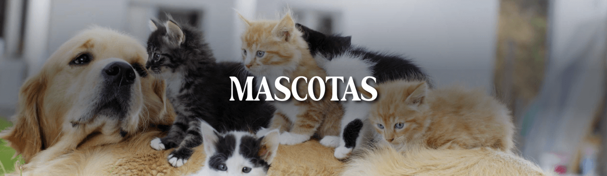 MASCOTAS